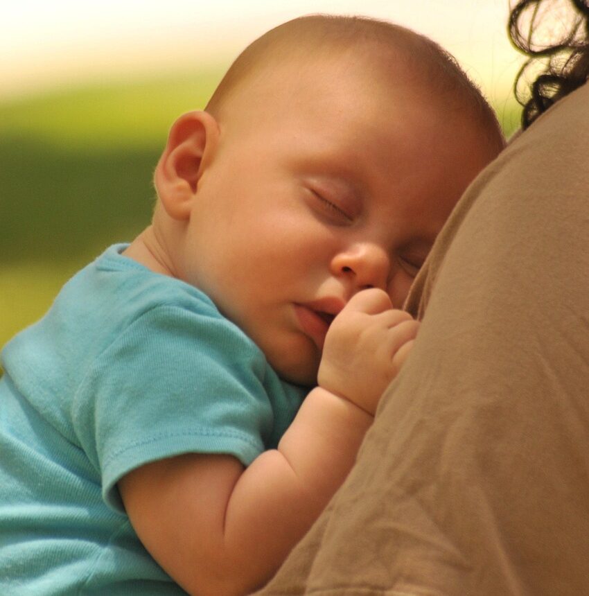 baby, sleeping, newborn, infant, cute, sleep, white, childhood, innocent, sleeping baby, portrait, caucasian, sweet, life, adorable, innocence, brown sleep, brown life, brown sleeping, baby, baby, baby, sleeping, sleeping, sleeping, sleeping, sleeping, sleep, sleep, sleep, sleep, sleep