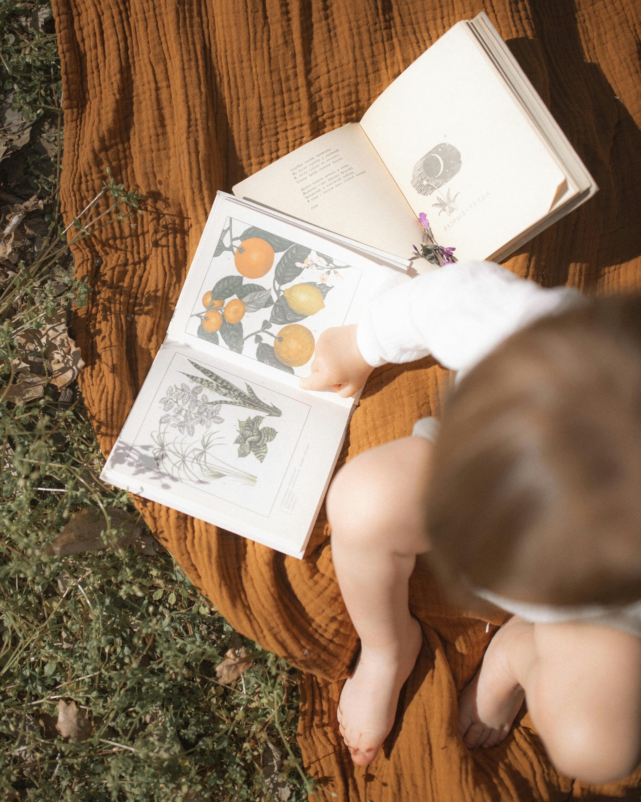 A toddler examines botanical illustrations in an open book on a blanket outdoors.